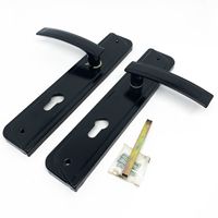 LEVER HANDLE PLATE ( LHP ) | LHP VIANO SPRUCE SN/NC